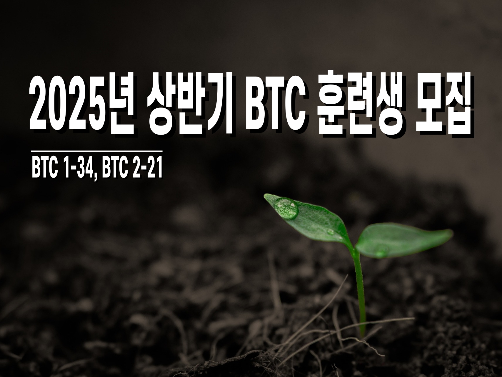 2025 상반기 BTC 훈련생 모집.jpg